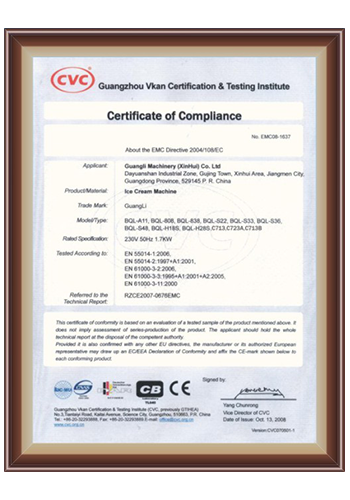 CE Certificate of Conformity